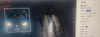 clipboard-202610122137-rv8ty.png